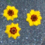 id:blackbeans