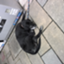 id:blackpond