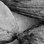 blue_almond