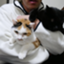 id:bluecat777y