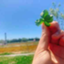 id:bminami