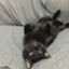 id:bochi-bocchi