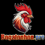 bogatonhonpro
