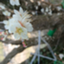 id:boku100