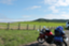 id:bon080325