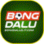 bongdalu5itcom
