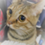 id:bonjingakusei
