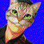 猫野BON太郎