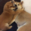 ぼしこ
