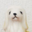 id:bosuao