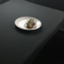 id:brasserie-avion