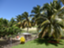 id:breadfruit12