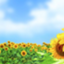 id:bunnbunnmomo