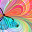 id:butterfly-8