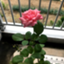 id:c0918issei