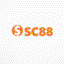 c88seocom1