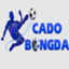 cacuocbongdavn1