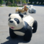 id:cafenoir-panda