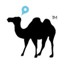 id:camel_studio