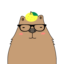 id:capybaracing