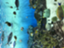 id:careforhealth