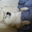 id:chaofanht