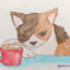 id:chi-i-chann