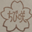 id:chibisaku