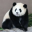 id:chichikusaipanda