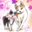 id:chima_taki