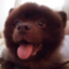 id:chocokuro04