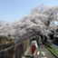 id:chocomintouto