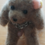 id:chokolira0308