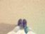 id:ciel28