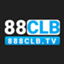 clbtv1