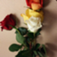 id:cmaslab