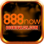 com888nowcn