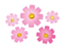 id:cosmos_house