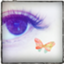 id:cottonpotaki