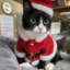 id:crimsonCat