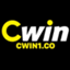 cwin1co