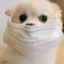 id:daebabynuts