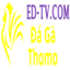 dagaedtv