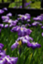 id:daichiblog
