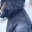 id:daily_daily