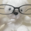 id:damepachibtc