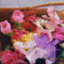 id:daraku_it