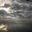 id:dawningbullet