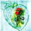 id:desertofgreensatoko