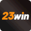 dingcom23win